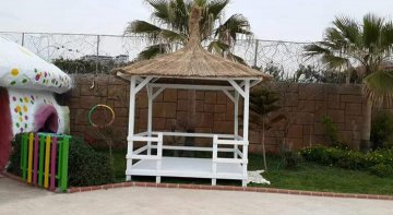 Kamış Kamelya Uygulamaları