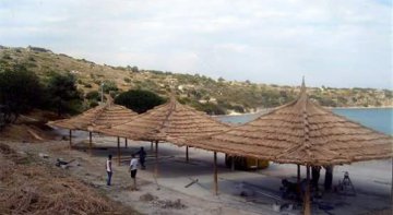Papür Çatılar