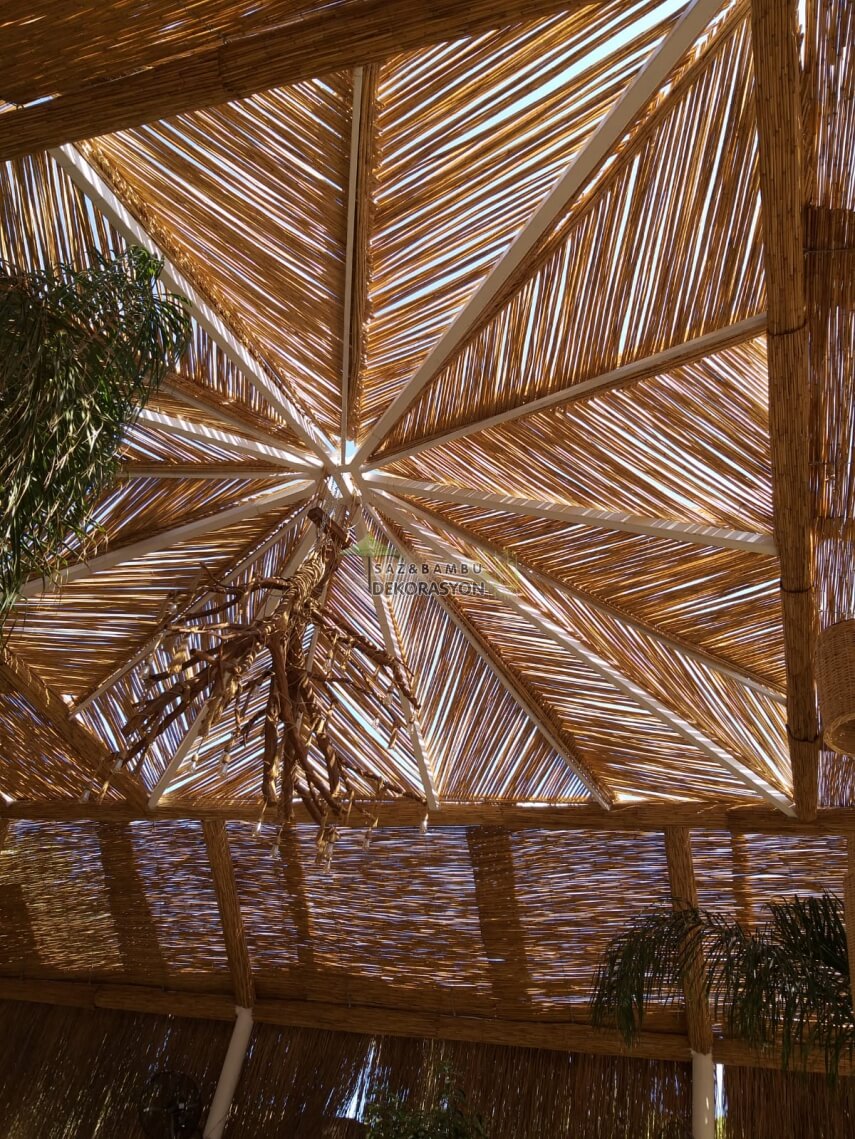 Bambu Pergule